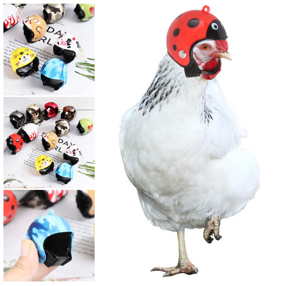 Pet X Supplies & Tack Howell Mi - ABS Funny Pet Supplies Pet Protective