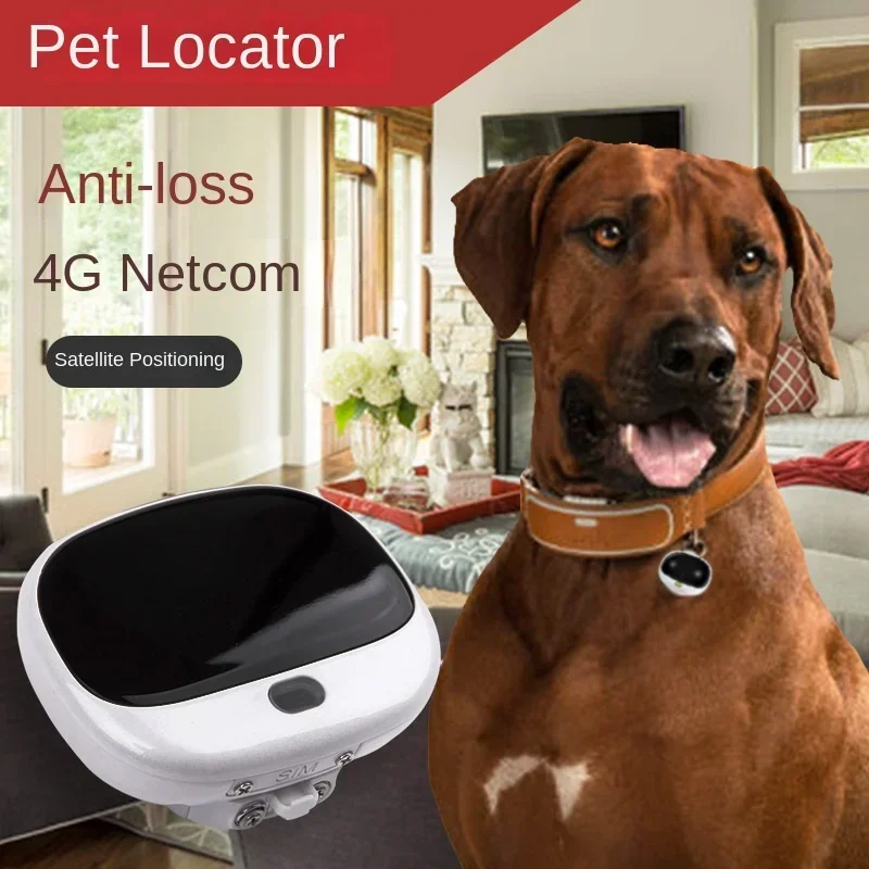 Pet Supplies Locations - Mini 4G LTE 2G GSM Dog