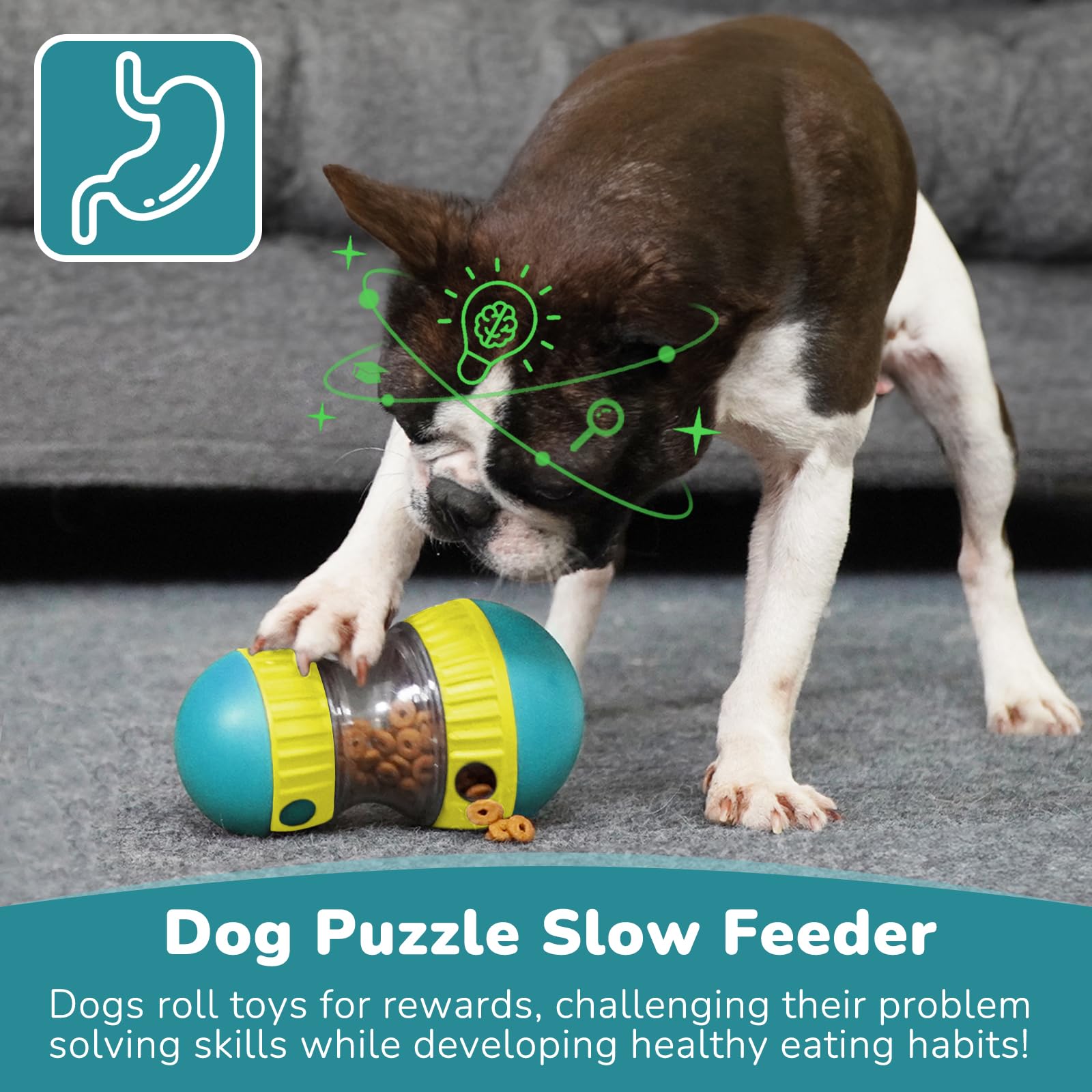 Dog Toys & Adjustable Slow Fee - Dog Treat Puzzle Toy recension och pris