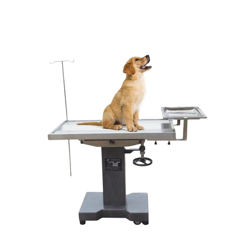 Pet Animals Medical Operation  - Pet Supplies Vet recension och pris