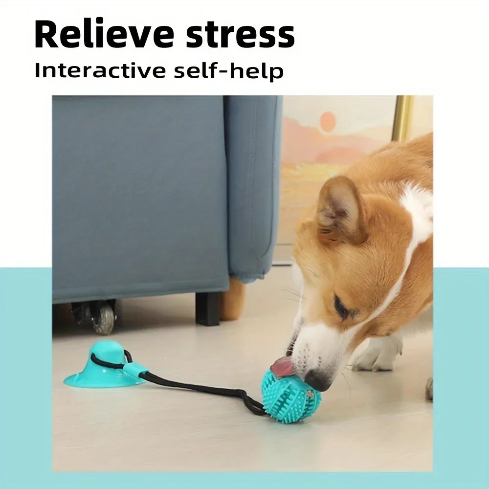 Interactive Dog Suction Cup To - Dog Treat Puzzle Toy recension och pris