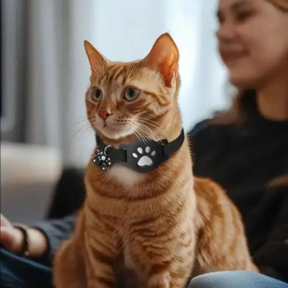 NEW Night Visibility Pet Refle - Pet Supplies Locations recension och pris