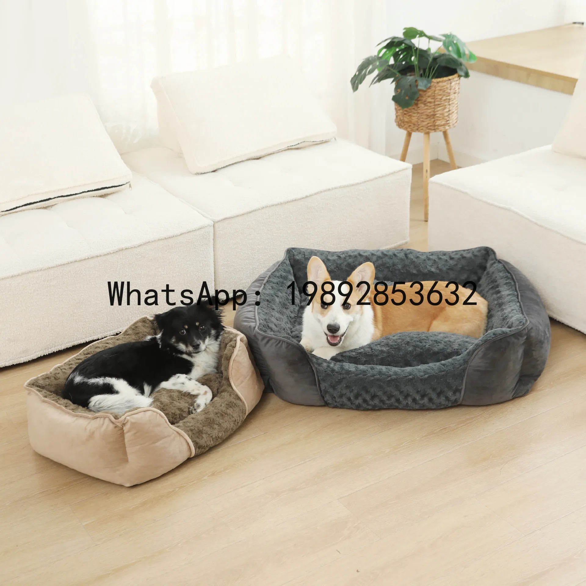 X cat house semi-enclosed dog  - Pet X Supplies & Tack Howell Mi recension och pris