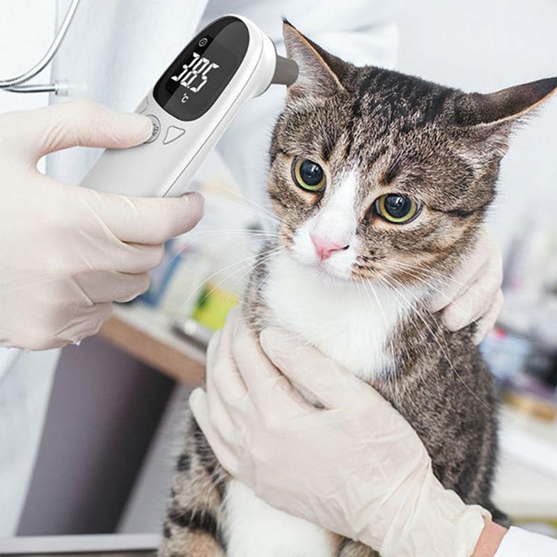Pet Thermometers For Dogs Vet  - Pet Supplies Vet recension och pris