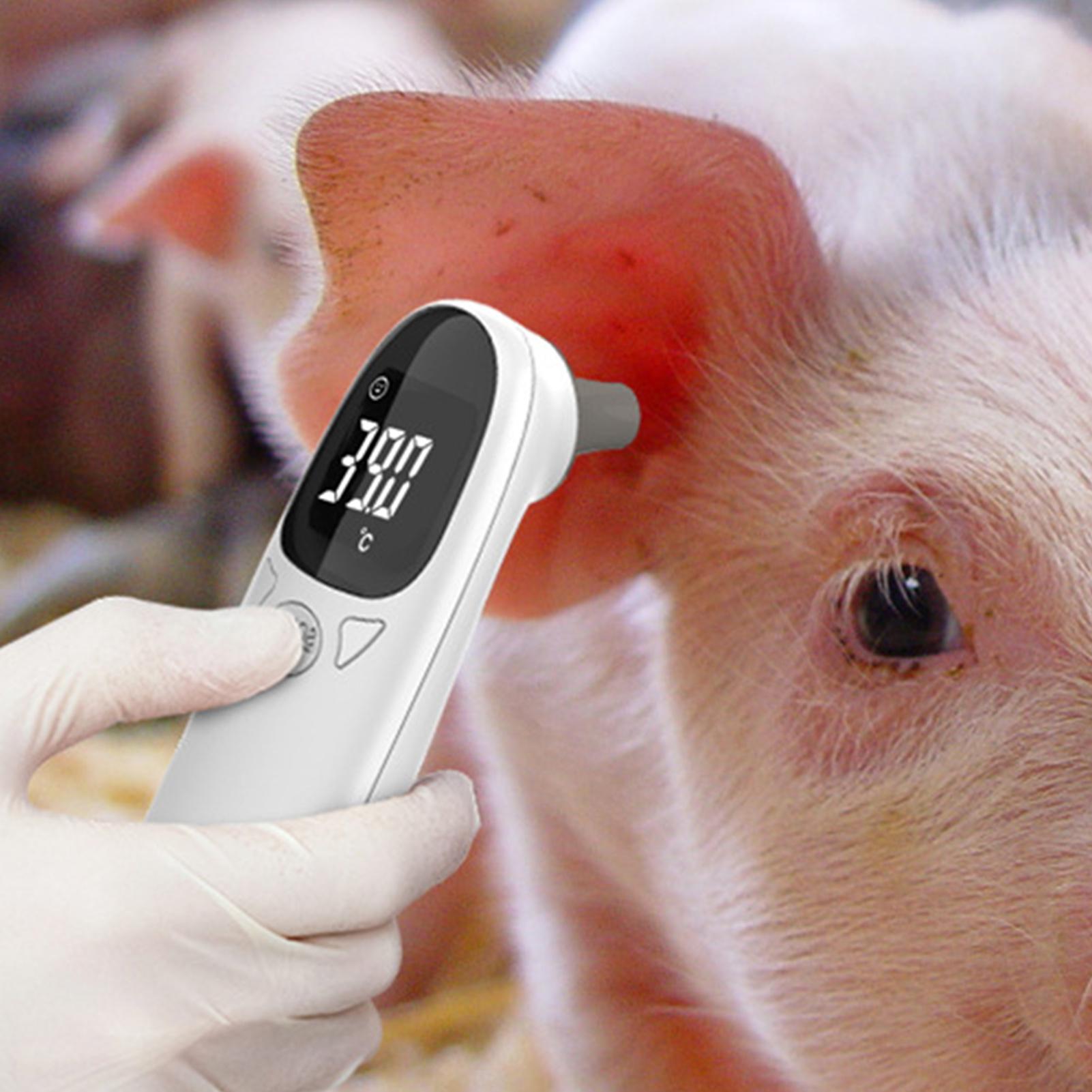 Dog Cat Ear Thermometer Medica - Pet Supplies Vet recension och pris