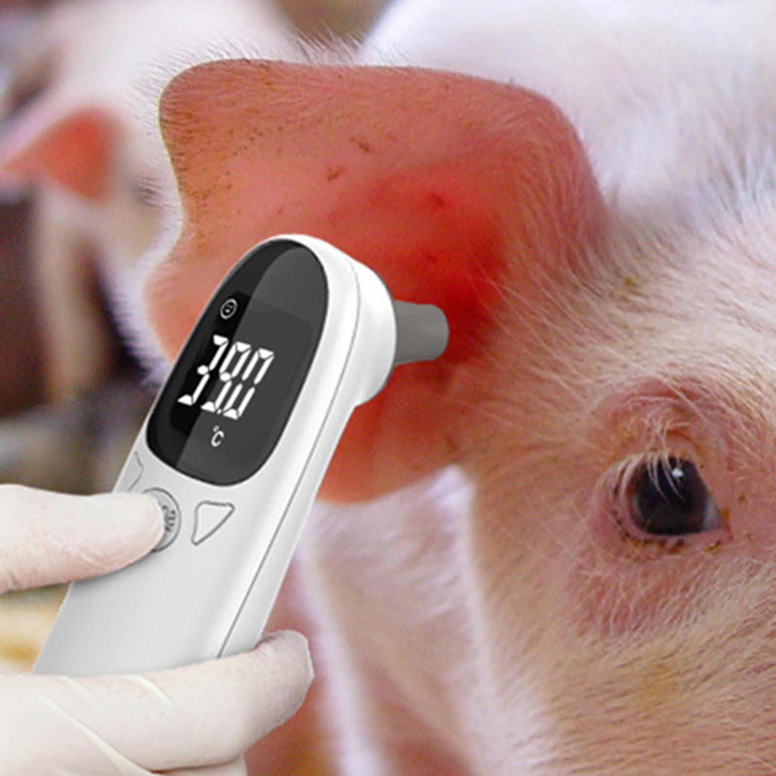 Dog Cat Ear Thermometer Medica - Pet Supplies Vet recension och pris