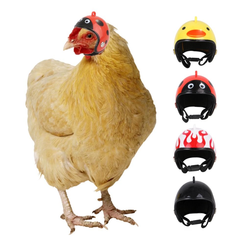ABS Pet Supplies Funny Pet Pro - Pet X Supplies & Tack Howell Mi recension och pris