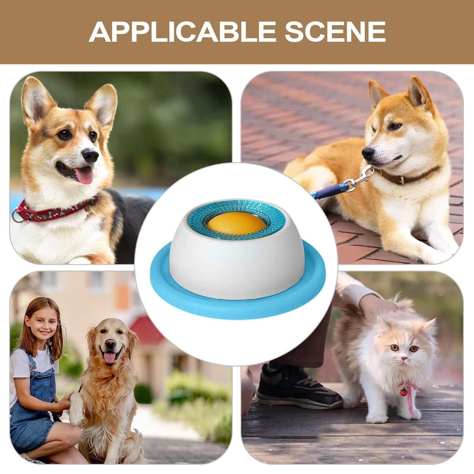 Dog Treat Toy Pet Feeding Acce - Dog Treat Puzzle Toy recension och pris