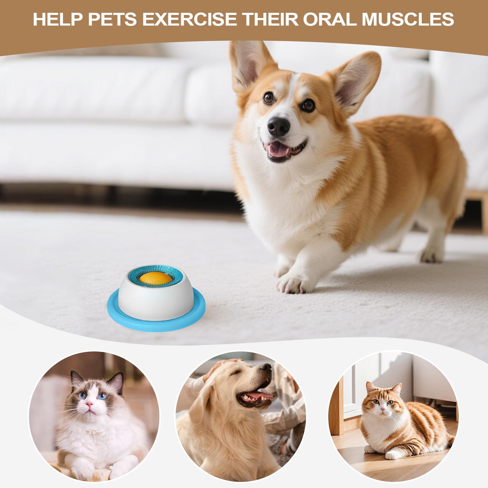 Dog Treat Toy Pet Feeding Acce - Dog Treat Puzzle Toy recension och pris