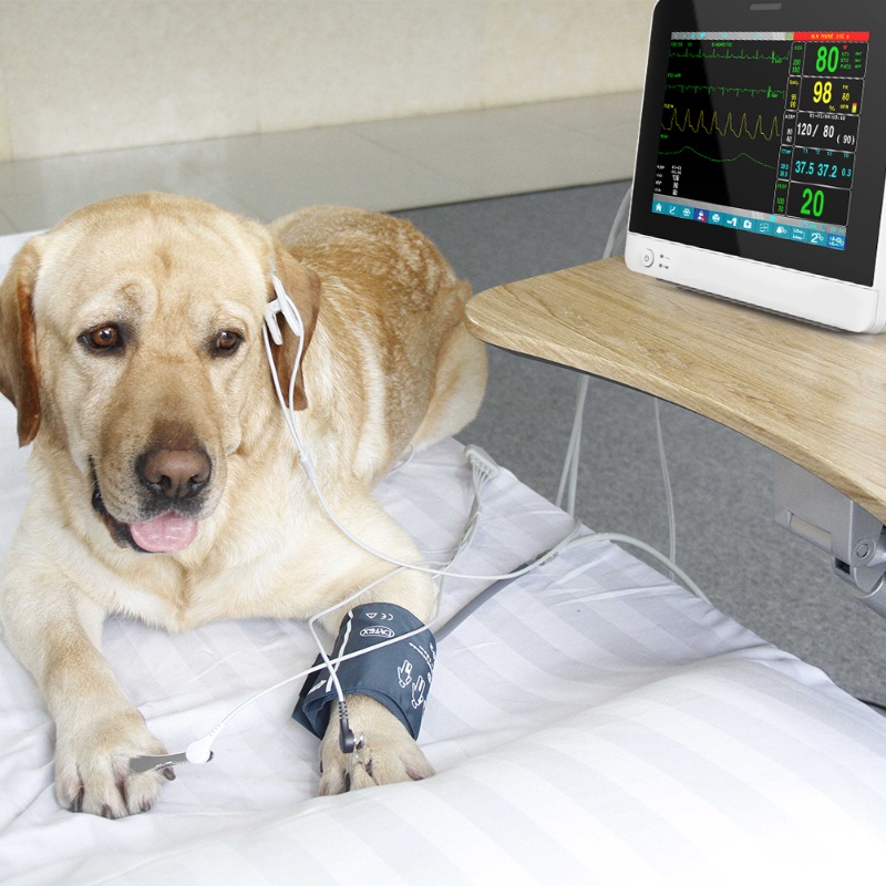 Veterinary Pet Touch Screen Po - Pet Supplies Vet recension och pris